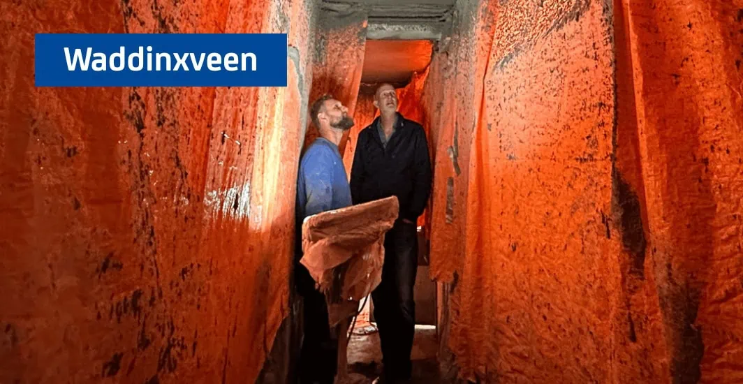 Projectleider SealteQ West