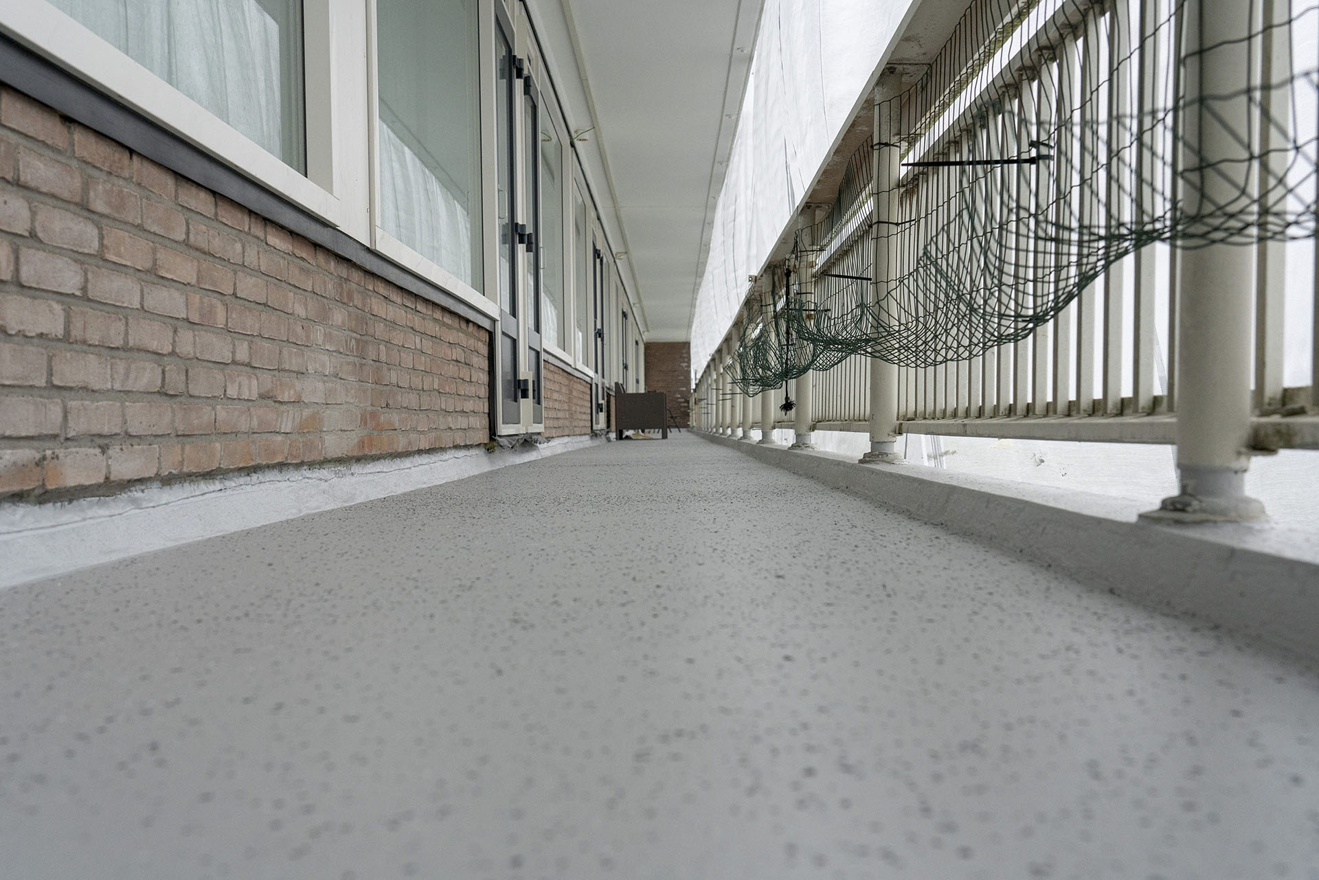 Kreeft | Hoogeveen foto 5